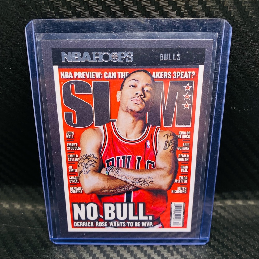 Panini NBA Hoops Bulls Trading Card
